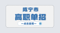 咸寧市高職單招主要考什么?