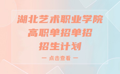 湖北藝術(shù)職業(yè)學(xué)院高職單招單招招生計劃